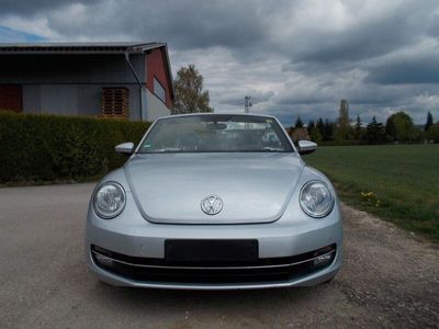 VW Beetle