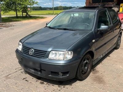 VW Polo
