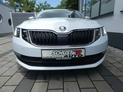 Gebraucht Skoda Octavia Soleil 116 PS (85 kW) 2020 Moonweiss metallic Kombi