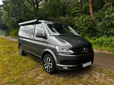 Gebraucht VW California Edition 204 PS (150 kW) 2016 Grau Van