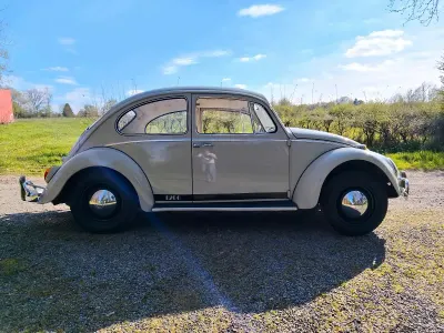 Używany VW Käfer 34 KM (25 kW) 1965 Szary Hatchback