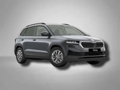 Nowe Skoda Karoq Joy 150 KM (110 kW) 2025 Szary SUV