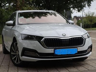 Gebraucht Skoda Octavia First Edition 150 PS (110 kW) 2020 Weiß Kombi