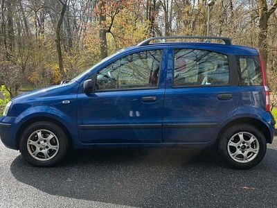 Usata Fiat Panda 60 CV (44 kW) 2009 Blu Utilitaria
