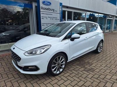 Gebraucht Ford Fiesta Vignale 101 PS (74 kW) 2020 Weiß Kleinwagen