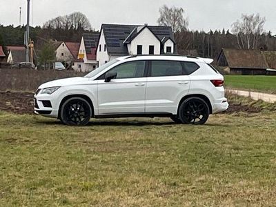Gebraucht Cupra Ateca 300 PS (220 kW) 2019 Weiß SUV