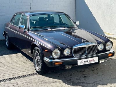 Violett Gebraucht 1993 Jaguar XJ12 Limousine | 13.999 €