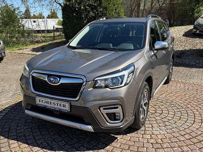 Second-hand Subaru Forester Active 150 CP (110 kW) 2020 Maro SUV