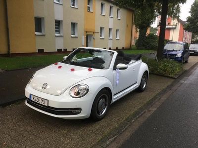 VW Beetle