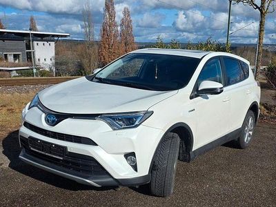 Gebraucht Toyota RAV4 Executive 197 PS (144 kW) 2017 Weiß SUV