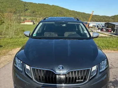 Gebraucht Skoda Octavia Scout Scout 4x4 184 PS (135 kW) 2019 Grau Kombi