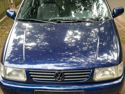 VW Polo