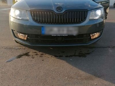 gebraucht Skoda Octavia 1.8 TSI Green tec Elegance Elegance