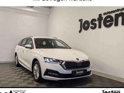 Usata Skoda Octavia Ambition 116 CV (85 kW) 2023 Bianco Station wagon
