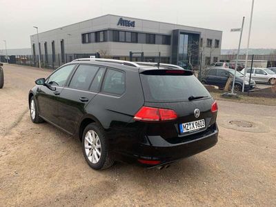 gebraucht VW Golf VII 