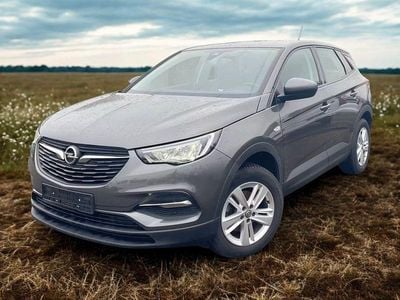 Usata Opel Grandland X 131 CV (96 kW) 2019 Grigio SUV