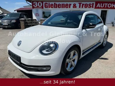 Brugt VW Beetle
