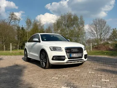 Gebraucht Audi SQ5 Comfort 313 PS (230 kW) 2014 Weiß SUV