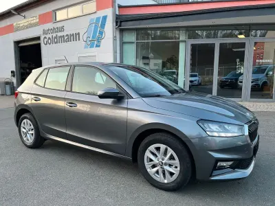 Neu Skoda Fabia Selection 80 PS (58 kW) 2026 Graphita grau Kleinwagen