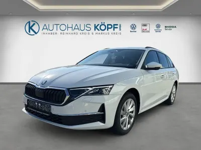 Gebraucht Skoda Octavia Selection 150 PS (110 kW) 2025 Weiß Kombi