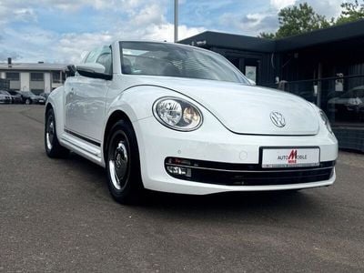 VW Beetle