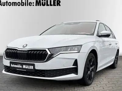 Gebraucht Skoda Octavia Selection 150 PS (110 kW) 2024 Moonweiss metallic Kombi