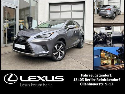 Grau Gebraucht 2021 Lexus NX300h Luxury Line SUV | 35.950 € (Teuer)