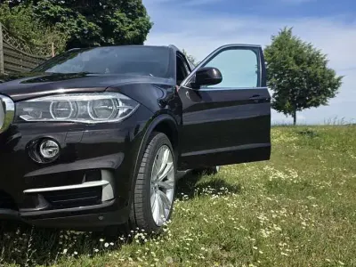 Gebraucht BMW X5 Sport Line 313 PS (230 kW) 2016 Braun SUV