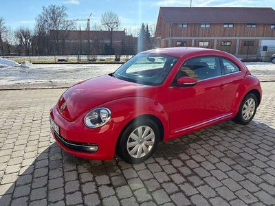 Usata VW Beetle Design 105 CV (77 kW) 2014 Rosso Utilitaria