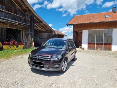 gebraucht VW Tiguan TiguanDiesel 2.0 TDI DPF 4Motion Track