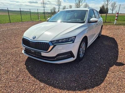 Gebraucht Skoda Octavia Style 116 PS (85 kW) 2023 Candyweiss Kombi
