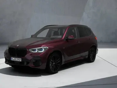 Brugt BMW X5 M Sport 340 HK (250 kW) 2023 Lilla SUV