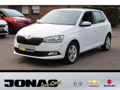 gebraucht Skoda Fabia Ambition Green tec 1.0 TSI