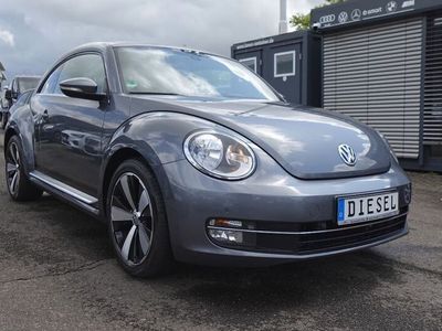 VW Beetle
