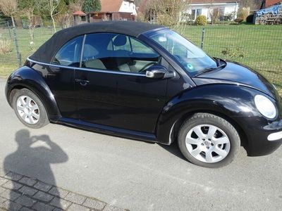 VW Beetle