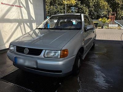 VW Polo