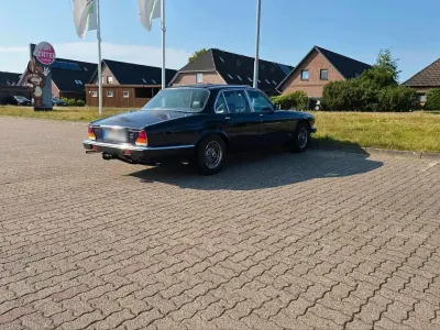 Gebraucht Jaguar XJ6 205 PS (150 kW) 1982 Blau Limousine