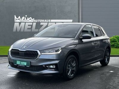 Gebraucht Skoda Fabia Tour 116 PS (85 kW) 2024 Grau Kleinwagen