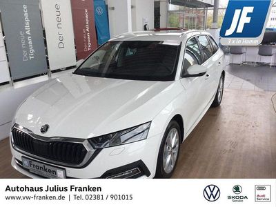 Gebraucht Skoda Octavia Style 116 PS (85 kW) 2023 Candyweiß Kombi