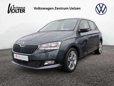 gebraucht Skoda Fabia 1.0 MPI Cool Plus