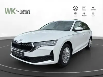 Gebraucht Skoda Octavia Essence 116 PS (85 kW) 2026 Weiss Kombi