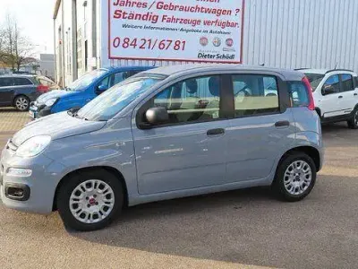 Gebraucht Fiat Panda Easy 69 PS (50 kW) 2021 Grau Kleinwagen
