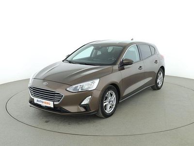 Usata Ford Focus Cool & Connect 125 CV (91 kW) 2018 Marrone Berlina