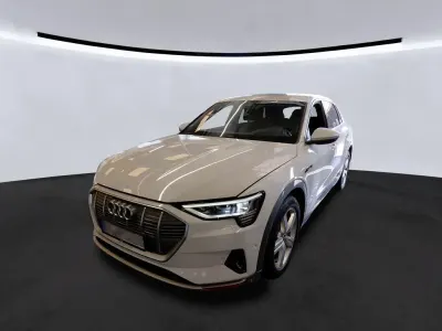 Gebraucht Audi e-tron Advanced Plus 300 kW (408 PS) 2022 Gletscherweiß metallic SUV