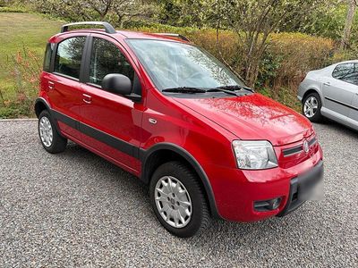 Gebraucht Fiat Panda 4x4 60 PS (44 kW) 2010 Rot Kleinwagen