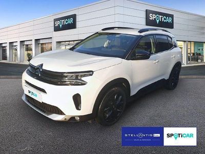 Brugt Citroën C5 Aircross 136 HK (100 kW) 2024 Hvid SUV