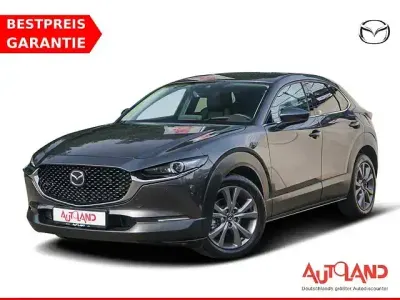 Gebraucht Mazda CX-30 Selection 150 PS (110 kW) 2021 Grau SUV