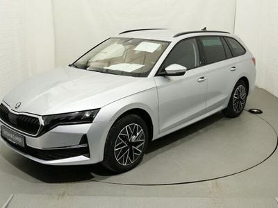 Neu Skoda Octavia Selection 150 PS (110 kW) 2025 Silber Kombi