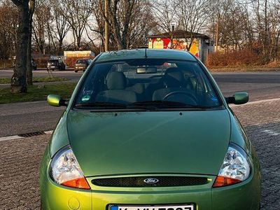 Gebraucht Ford Ka 60 PS (44 kW) 2008 Grün Kleinwagen