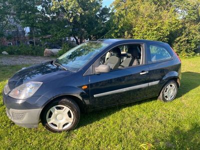 gebraucht Ford Fiesta Perfektes Fahranfängerauto -1,3 44 kW